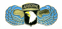 101st Airborne Wing Pin