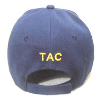 
              Air Force Cap Tactical Command
            